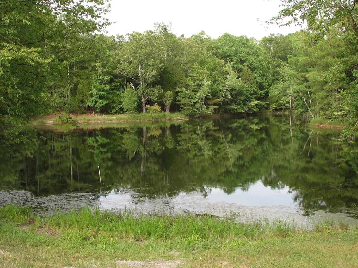 Cedar Pond at Land Between the Lakes, ringed by green trees